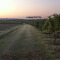 Emilia-Romagna Wine Dinner, Wednesday June 18th